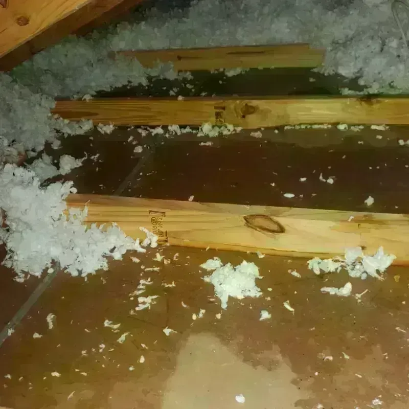 Attic Water Damage in Day County, SD