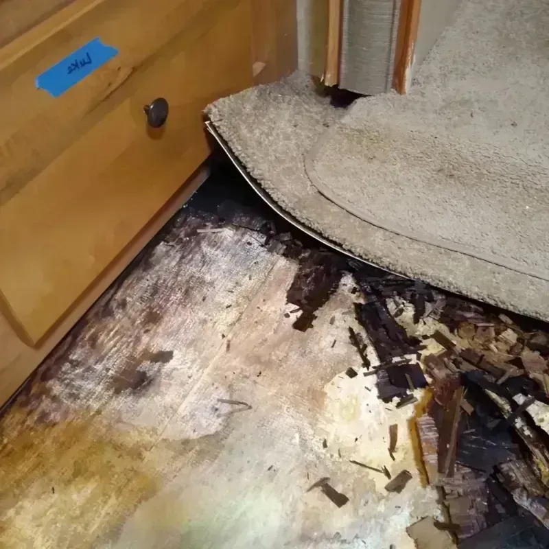 Best Wood Floor Water Damage Service in Day County, SD